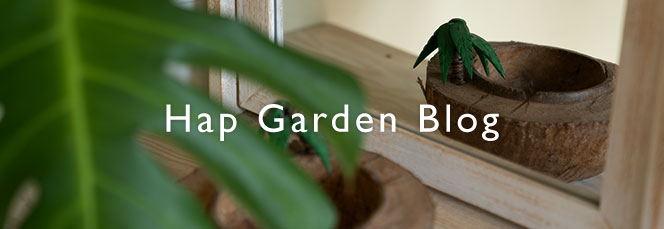 ハップガーデンブログ